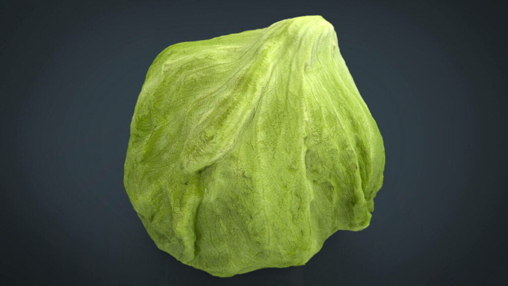 iceberg-lettuce-03