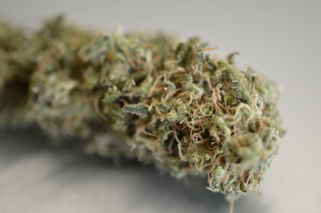 Quasar Marijuana Strain